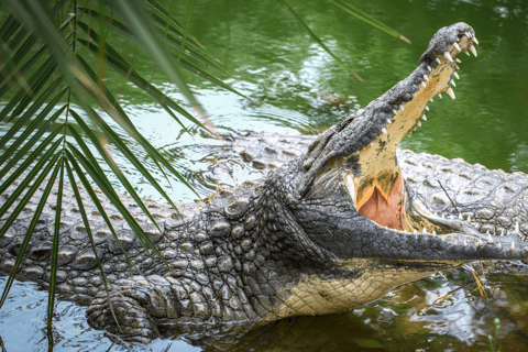 Cat Tien National Park with Crocodile Lake