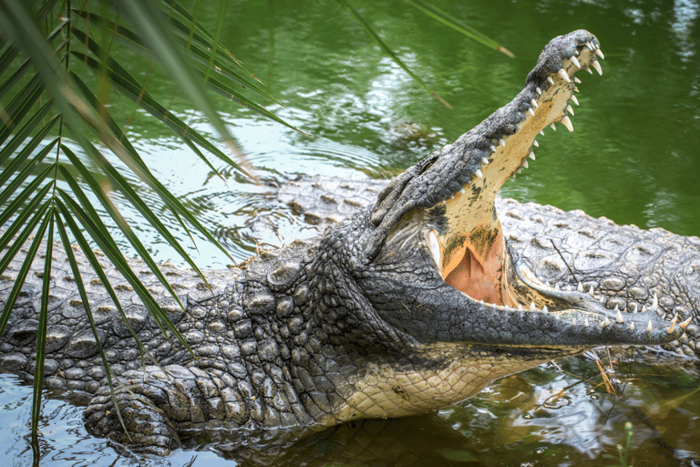 Cat Tien National Park with Crocodile Lake