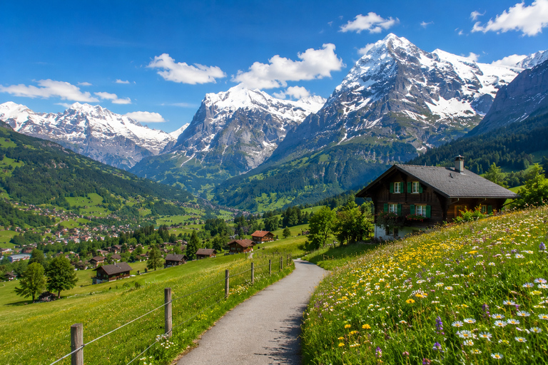 Zurich: Grindelwald, Interlaken & Lauterbrunnen Day Trip