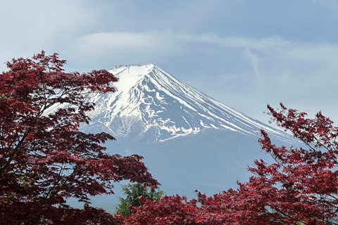 From Tokyo: Mount Fuji Full Day Customizable Private Tour LUXURY LAND CRUISER