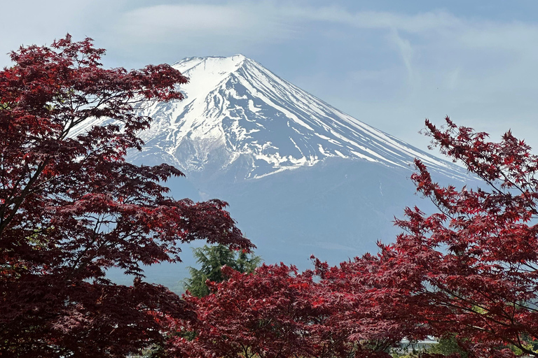 From Tokyo: Mount Fuji Full Day Customizable Private Tour LUXURY LAND CRUISER