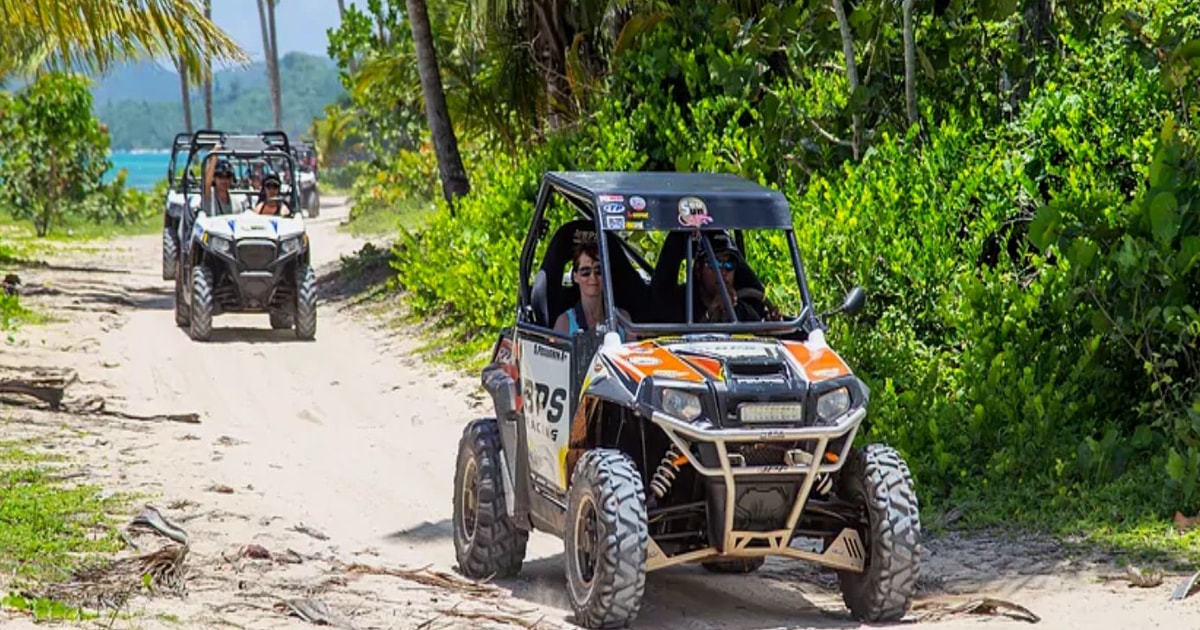 Samana: Buggy Adventure From Samana | GetYourGuide