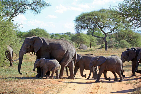 2-dniowe safari na słoniach w Amboseli