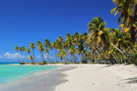 From Punta Cana: Saona Island Boat Trip with Buffet