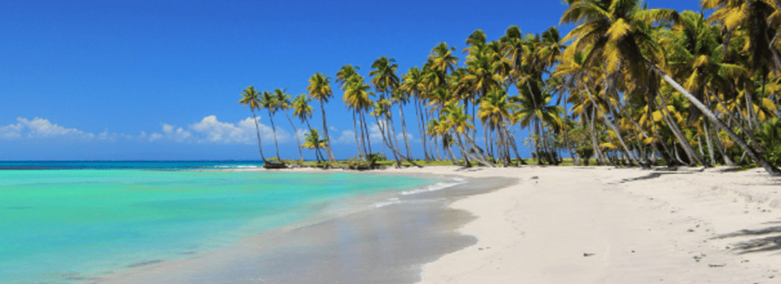 Au départ de Punta Cana : Excursion en bateau sur l'île de Saona avec buffet