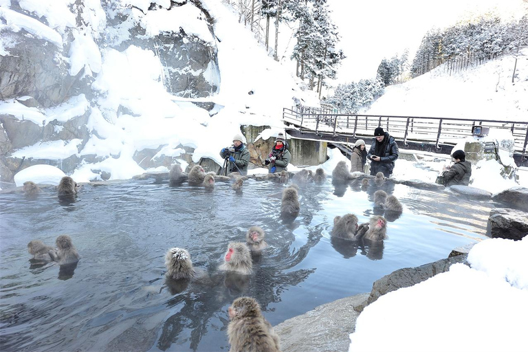 Tokyo: Nagano Snow Monkeys or Shrine or Snow Hut Day Trip Package 2: Togakushi Shrine Itinerary