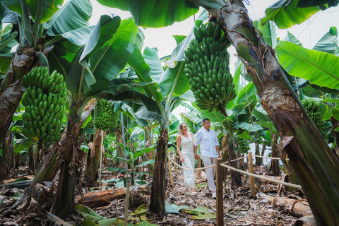 Visit Finca Amor Platánico in La Palma Visit Amor Platánico