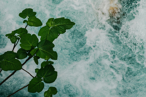 Fethiye: Tlos, Yakapark, and Saklıkent Private Tour