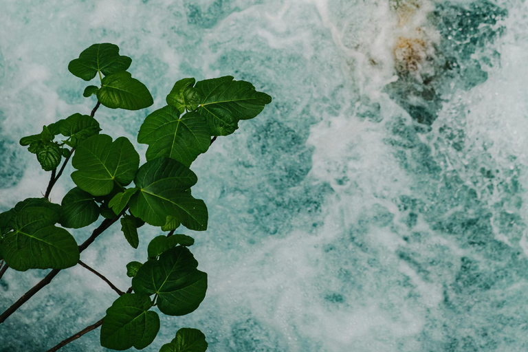 Fethiye: Tlos, Yakapark, and Saklıkent Private Tour