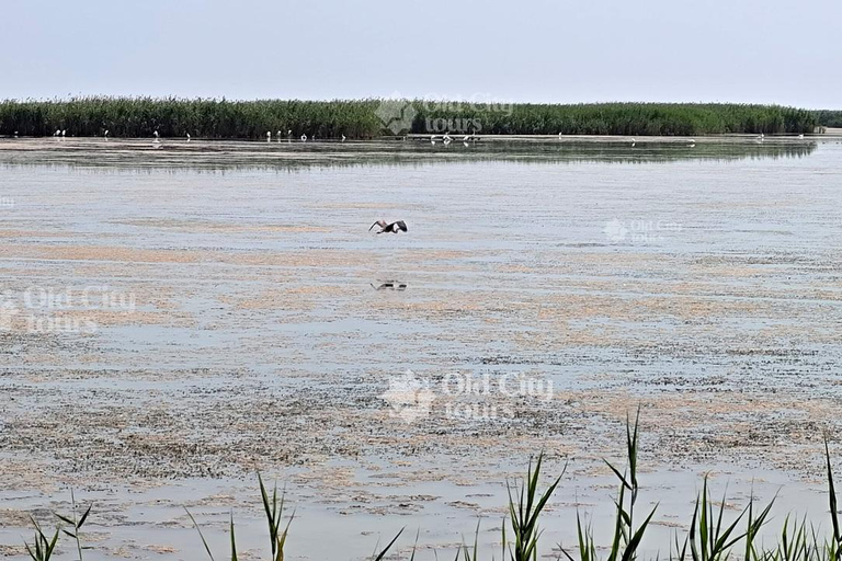 Shirvan Eco-Tour: Gazelles, Birdwatching & Village Lunch Private tour