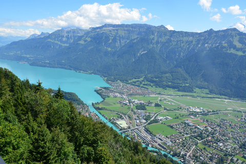 Z Montreux lub Gstaad: Interlaken, Grindelwald TOURZ Montreux, Gstaad lub Fryburga: Wycieczka po regionie Interlaken