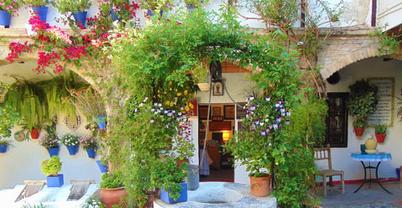 Córdoba: Patios de Córdoba Exclusive Private Tour