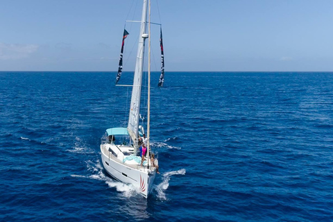 Gita in barca a Tenerife per l&#039;avvistamento delle balene e lo snorkeling