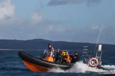 Cornwall: 2 hour Wildlife Watching RIB Tour
