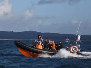 Cornwall: 2 hour Wildlife Watching RIB Tour
