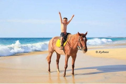 Sal Island Horse Riding – Dunes, Beaches & Villages Horse Riding 2 Hours – Beginners/Intermediate