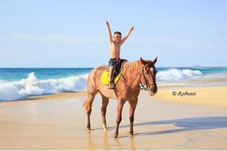 Sal Island Horse Riding – Dunes, Beaches & Villages Horse Riding 2 Hours – Beginners/Intermediate