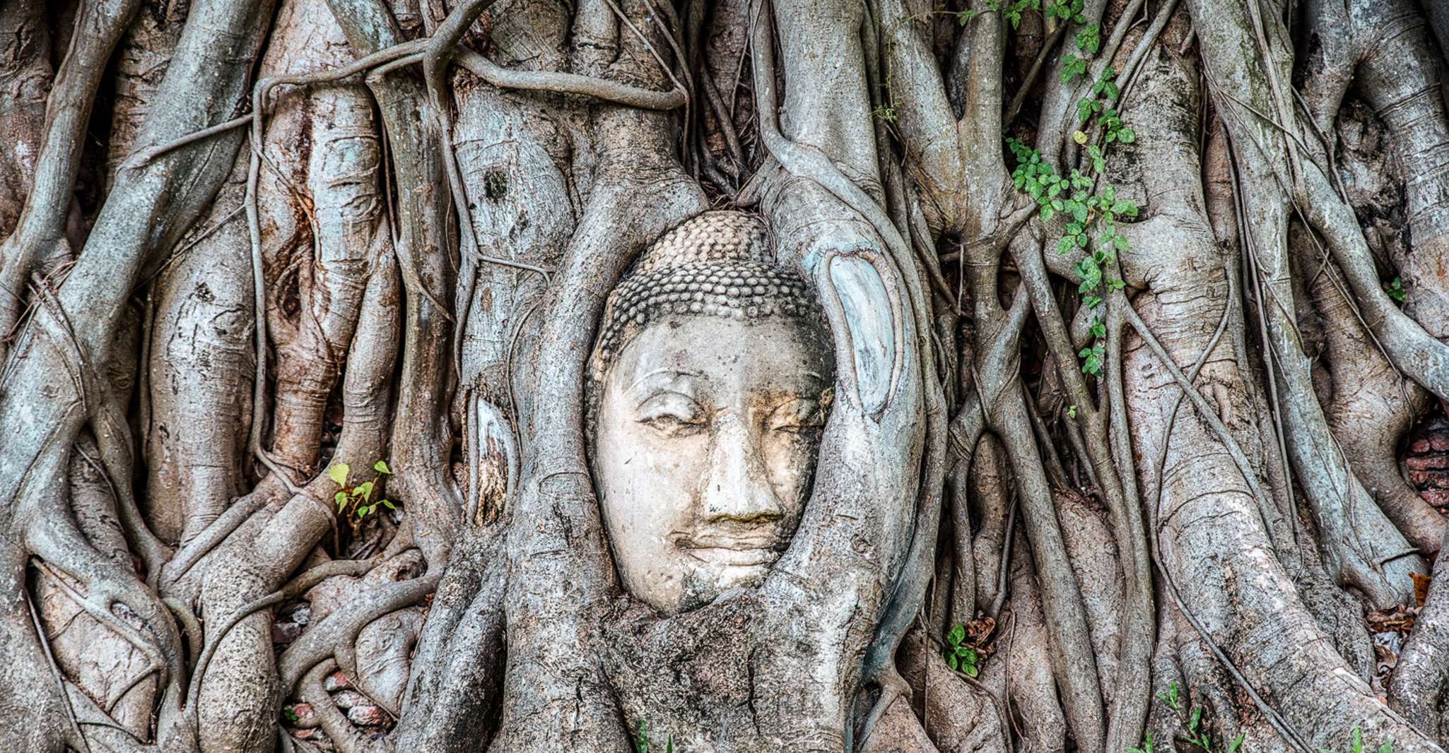 Da Bangkok, Ayutthaya & Ayothaya Floating Market Day Trip - Hizvo