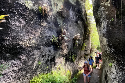 Île de Floreana : excursion d&#039;une journée aux Galápagos avec les Îles Enchantées