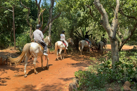 Från Johannesburg: Safari med hästridning