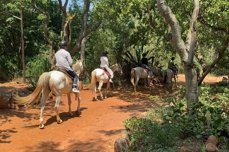 From Johannesburg: Horse-Riding Safari