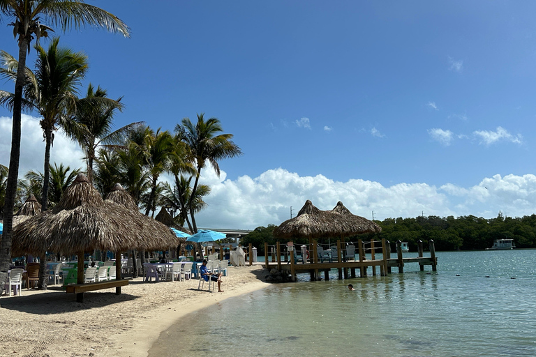 Key Largo: Florida Keys Sunset Cruise with Wildlife Spotting