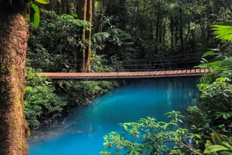 La Fortuna: Volcán Tenorio, Perezosos, Tour de Café y Chocolate
