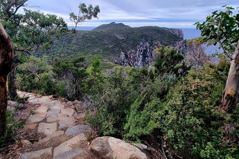 Hobart: Cape Hauy Hike an Active Adventure