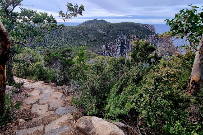Hobart: Cape Hauy Hike an Active Adventure