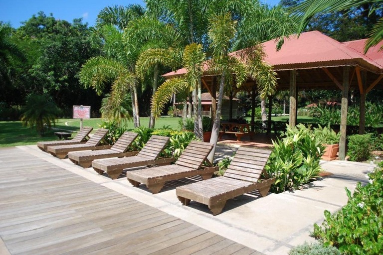 Montego Bay/Negril: Appleton Rum Experience & YS Falls Climb