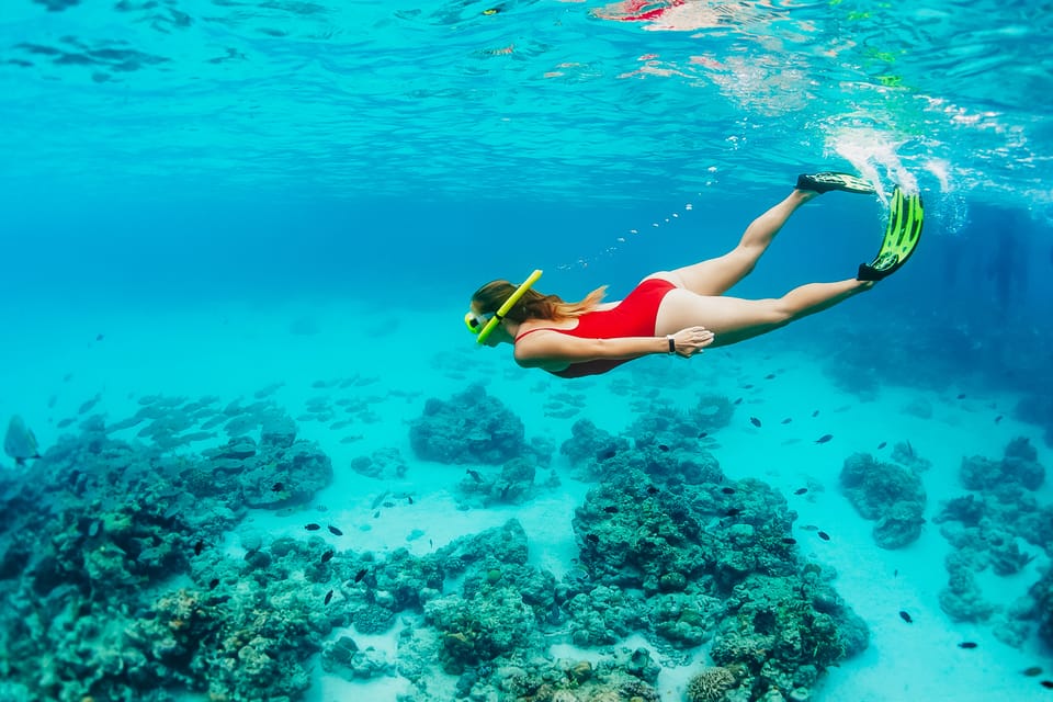 Kaanapali Beach Express Snorkel Trip Getyourguide 
