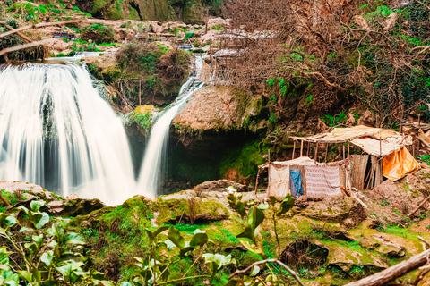 Depuis Marrakech : cascades d'Ouzoud avec rando et bateauVisite de groupe en anglais