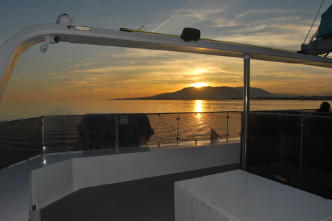 Malaga : Croisière en catamaran au coucher du soleil avec DJ et boissons en directMalaga : Croisière en catamaran au coucher du soleil avec musique et boissons