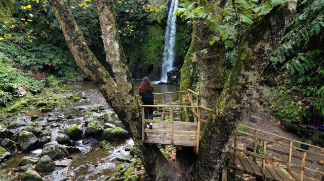 Visit Lomba de São Pedro Waterfall Hiking Tour with Tea Tasting in Ponta Delgada, São Miguel