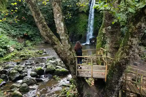 Lomba de São Pedro: Wasserfall-Wanderung mit Teeverkostung