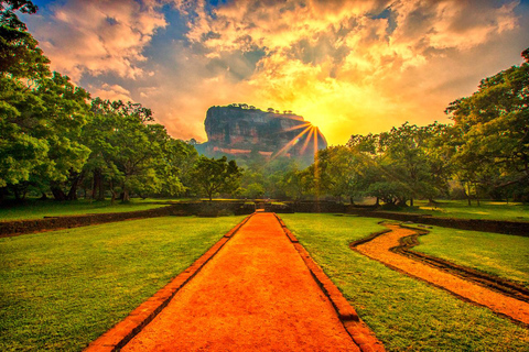 From Colombo: Sigiriya Rock Sunrise Climb with Dambulla …