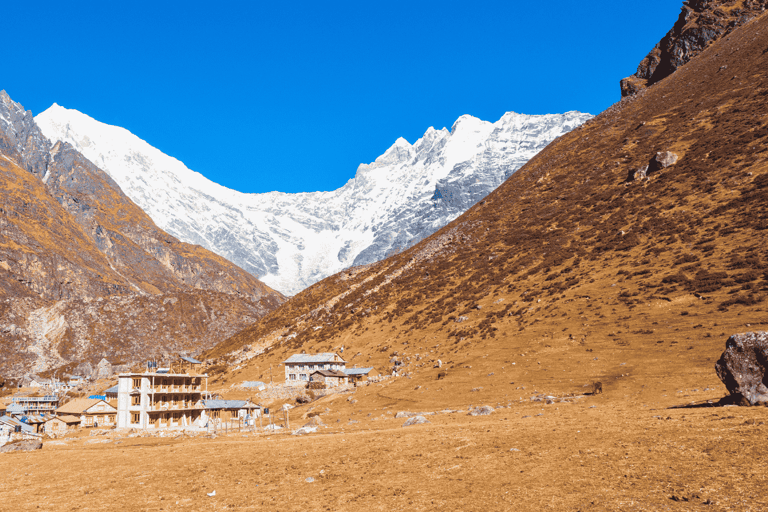 From Kathmandu: Langtang Valley Trekking Adventure