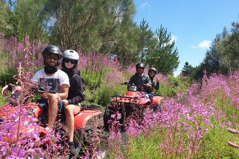 Etna volcano: Etna grand tour by quad bike with cave and lava flow visit