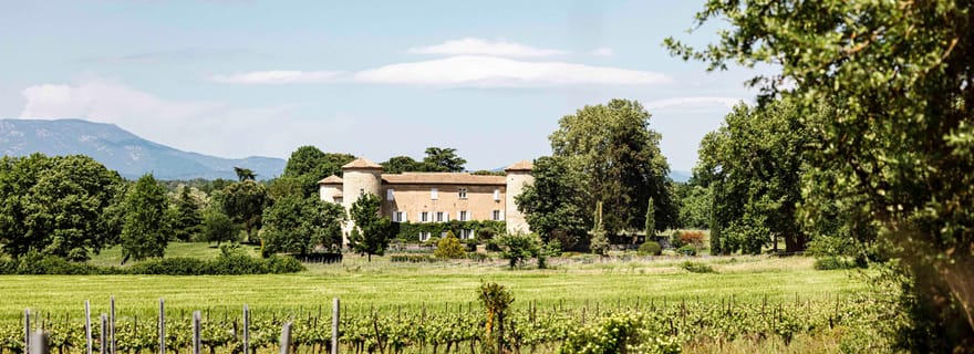 Ardèche : visite guidée de notre domaine viticole avec dégustation