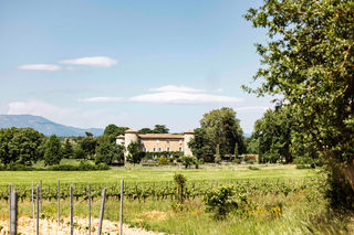 Ardèche: Guided Tour of Our Winery with Wine Tasting