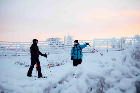 Levi: Aventura guiada com raquetes de neve