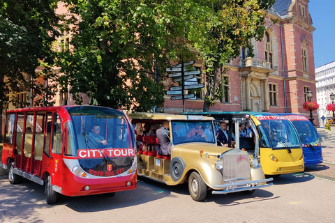 Gdansk: City Tour Golf Cart Main & Old City Sightseeing Tour Group Shared Regular Tour From Meeting Point