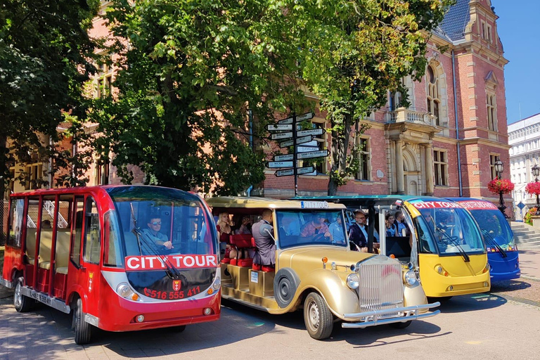 Gdansk: City Tour Golf Cart Main & Old City Sightseeing Tour Group Shared Regular Tour From Meeting Point