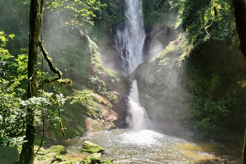 2 Days Canopy walkaway & Waterfall at Nyungwe rainforest