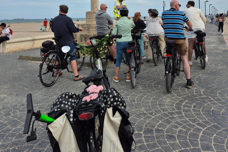 Valencia's Albufera, cycling guided tour