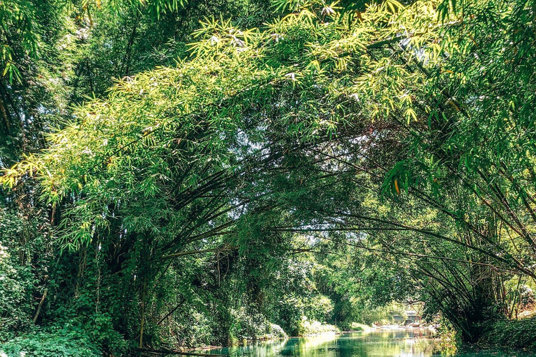 Excursión de un día en balsa de bambú por el río Martha Brae y safari por el pantanoDesde Montego Bay