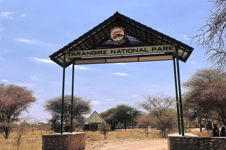 Tarangire National Park Full-Day Wildlife Safari