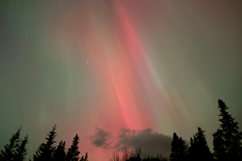 Banff/Canmore: PRIVATE Stargazing & Northern Lights Tour