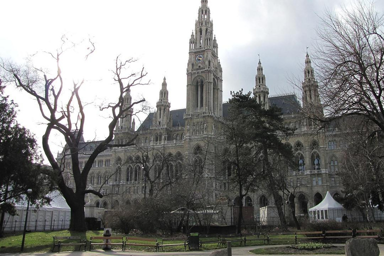 Vienna: Best of Vienna in 2 Hours with a Local