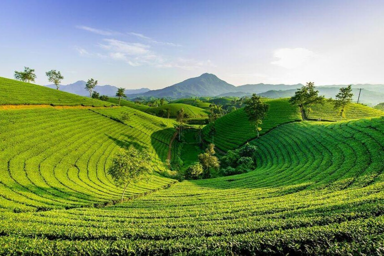 Kolkata: 2-Day Darjeeling Tour with Tea, Train, & Himalayas